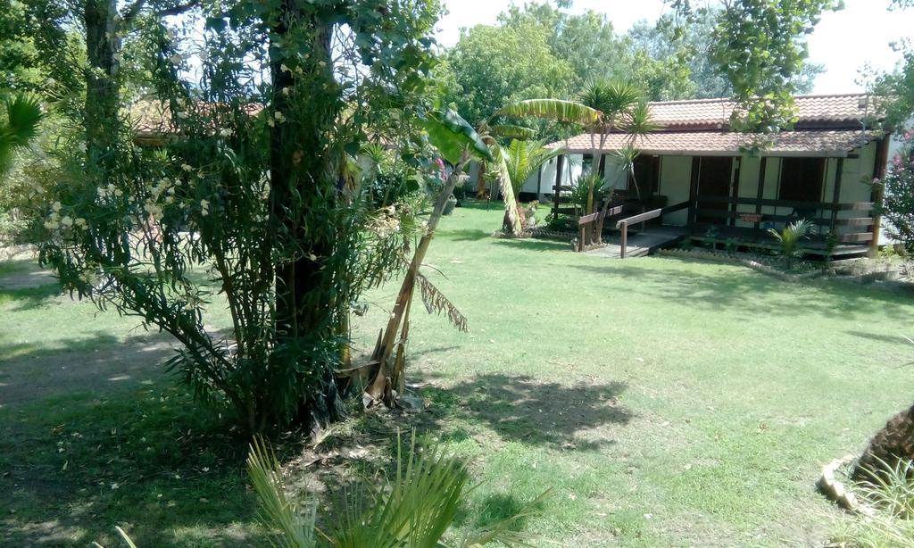 Campsite Camping Scogliera Azzurra